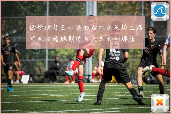 徐梦桃与王心迪的婚礼由足协主席宋凯证婚她期待与丈夫共创辉煌