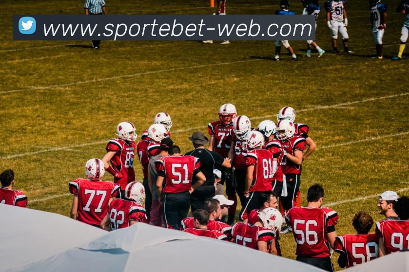 易倍体育APP 封面图